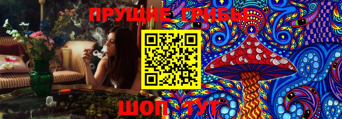 Великий Устюг  Псилоцибиновые грибы GOLDEN TEACHER  Вход с VPN  Псилоцибиновые грибы Psilocybe 
